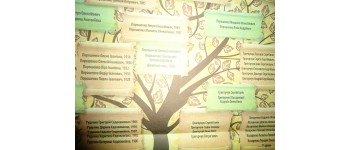 Кандидати Тягнибок і Порошенко знайомлять вінничан зі своїми «Деревами роду»